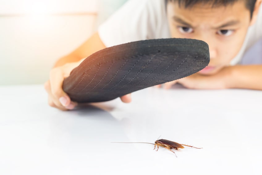 temecula cockroach control