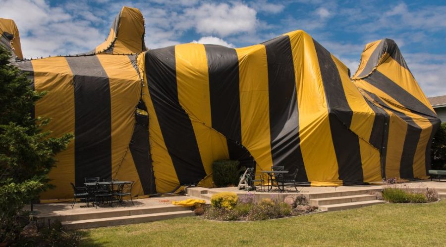 House equipped with fumigation tent